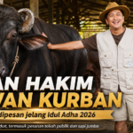 Irfan Hakim hewan kurban ramai dipesan jelang Idul Adha 2026